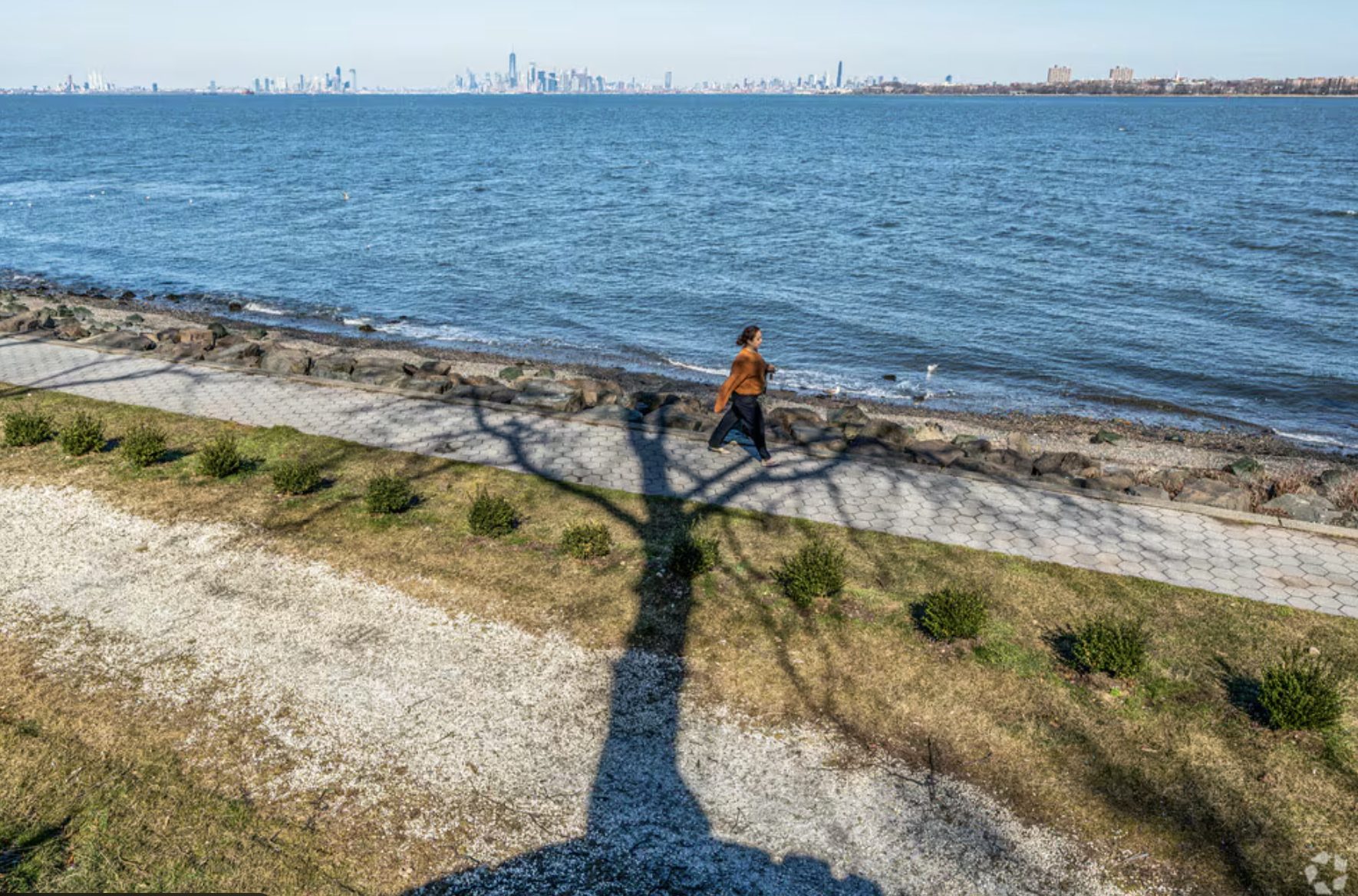 Screenshot 2026-01-19 at 3.16.33 PM